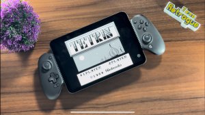 GameSirG8+ iPad - Retro Handhelds