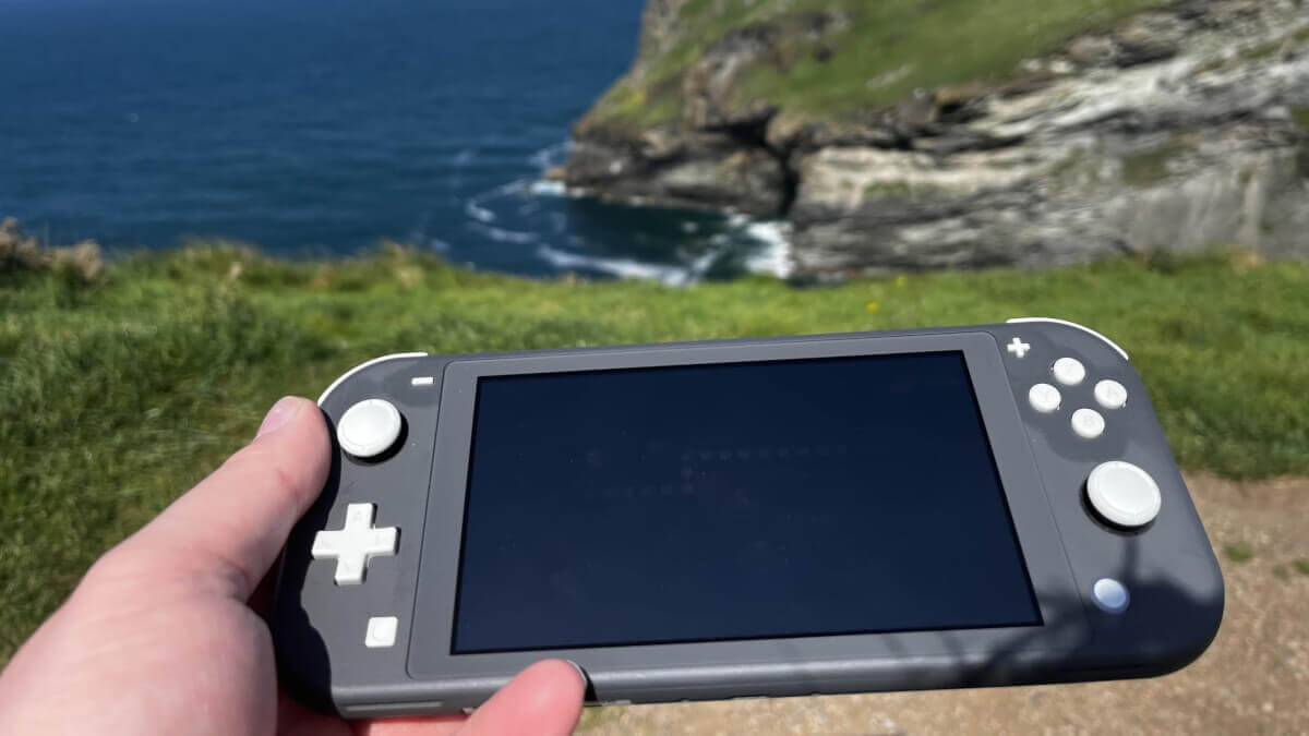Links Awakening on Switch Lite - Dan