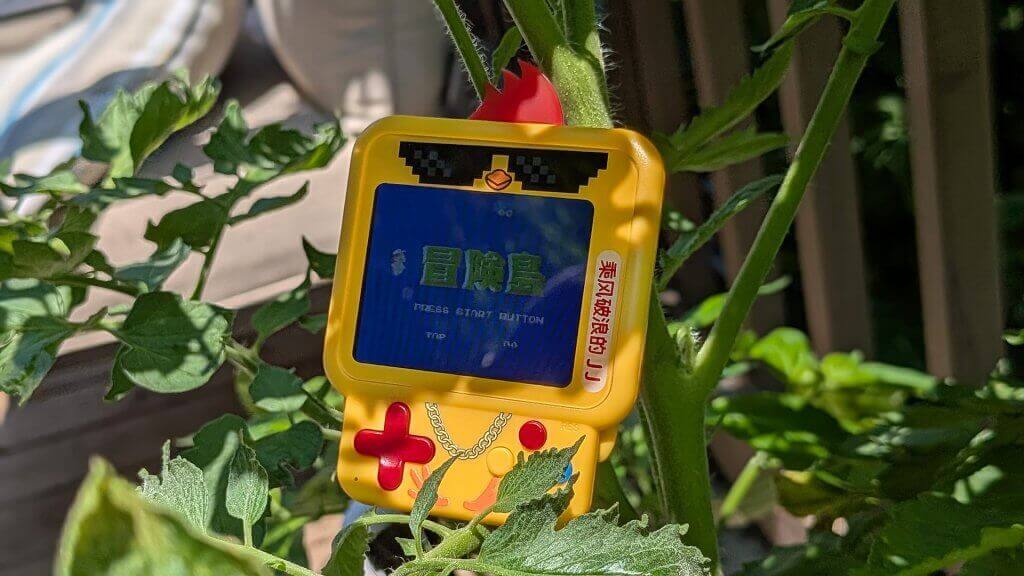 Chicken_Handheld_Plant_Sun