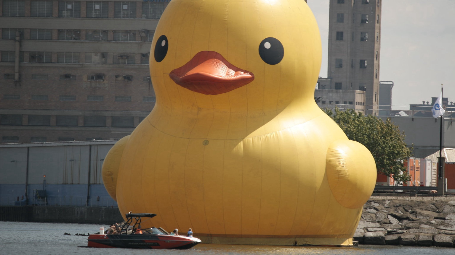 Mega Duck Banner