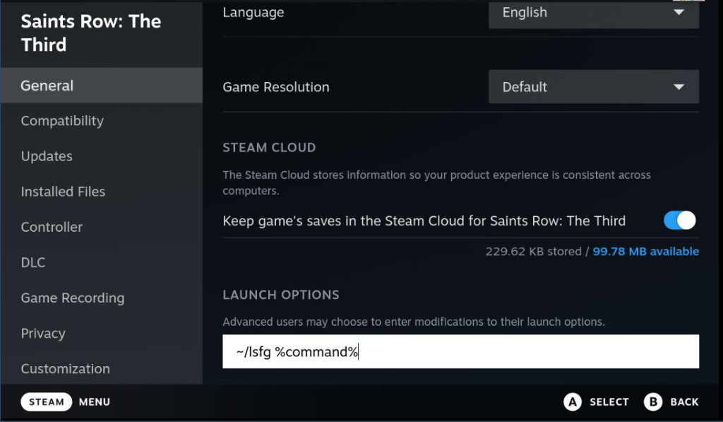 Decky_LSFG_Launch_Optionspng