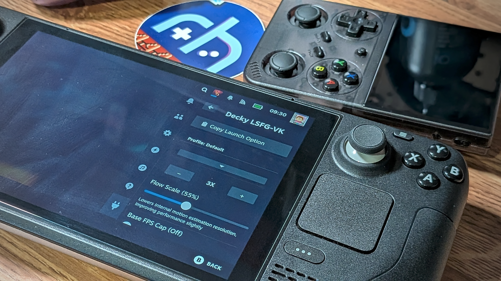 Decky_LSFG_Copy_Launch_Option