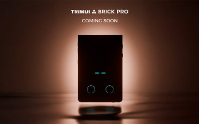 TrimUI Brick Pro: Everything We Know So Far