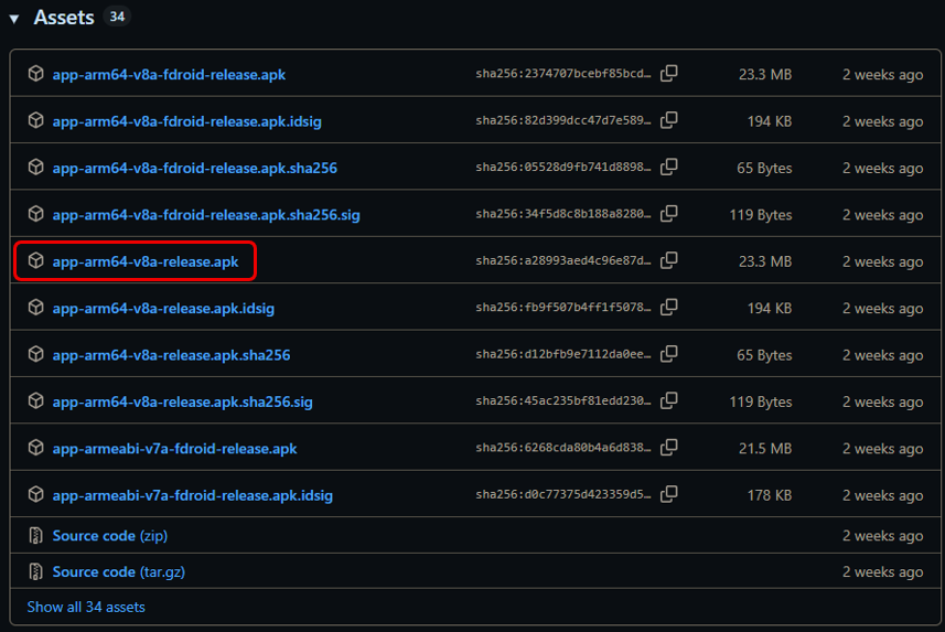 Obtainium Release Assets